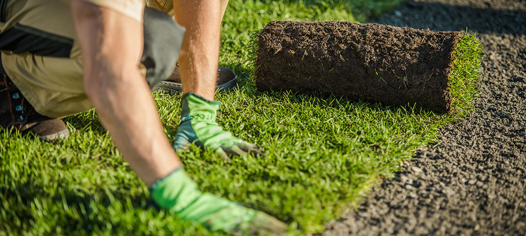 Man placing landscape for yard